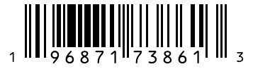Barcode 196871738613