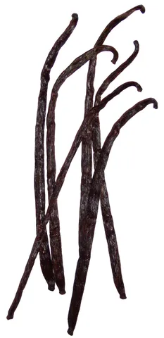 Vanilla, other of pack