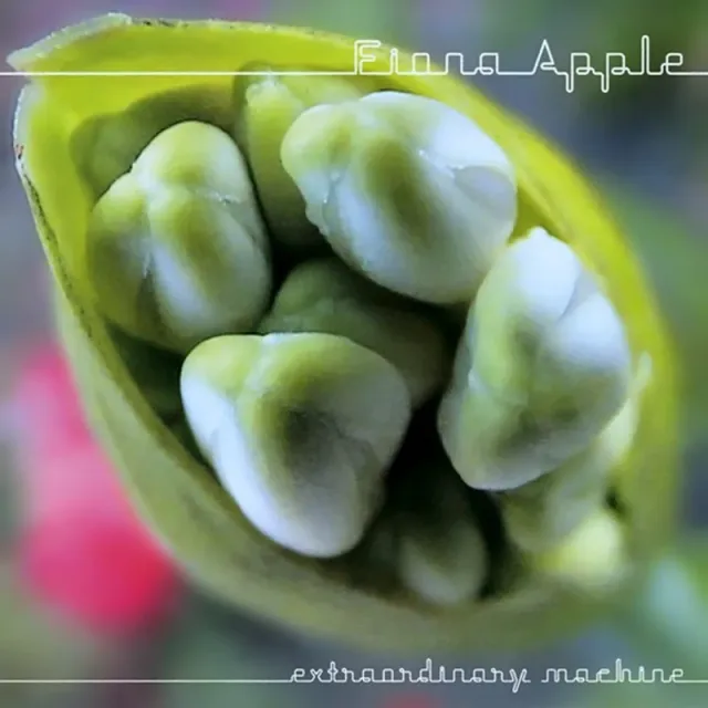 Fiona Apple – Extraordinary Machine (CD), front of pack