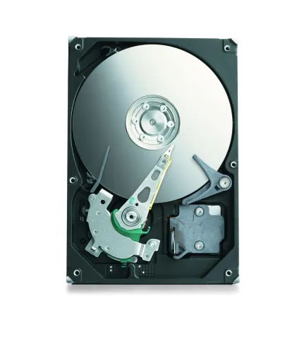 Seagate 300 GB Ultra ATA/100 Internal Hard Drive (ST3300631A-RK)