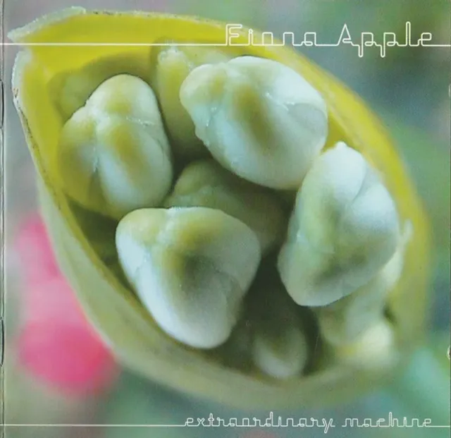 Fiona Apple – Extraordinary Machine (CD + DVD), front of pack